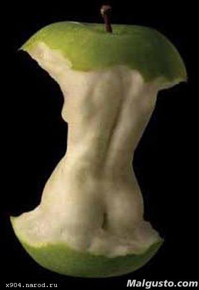 скачать приколы юмор шутки розыгрыши бесплатно x904