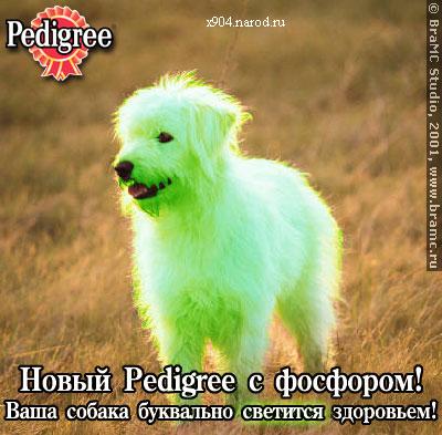 скачать приколы юмор шутки розыгрыши бесплатно x904